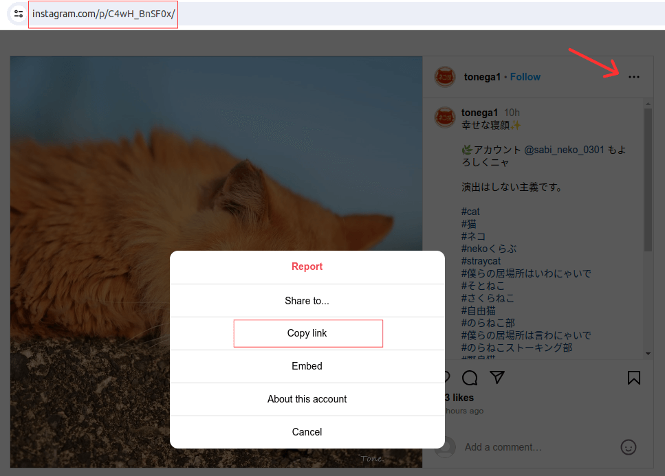 How to find an Instagram post link?
